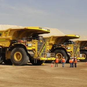 CURSO DE CAMIÓN DE EXTRACCIÓN  + GRÚA HORQUILLA